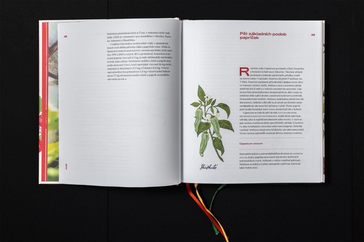 07 - Chilli &ndash; průvodce světem p&aacute;liv&eacute;ho j&iacute;dla