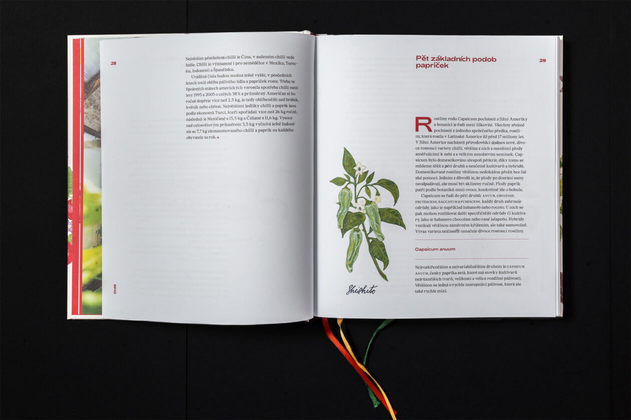 07 - Chilli &ndash; průvodce světem p&aacute;liv&eacute;ho j&iacute;dla